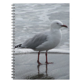 Seagull am Meer Notizblock
