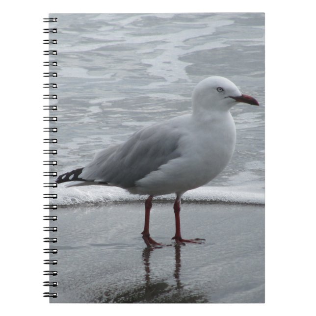 Seagull am Meer Notizblock (Vorderseite)