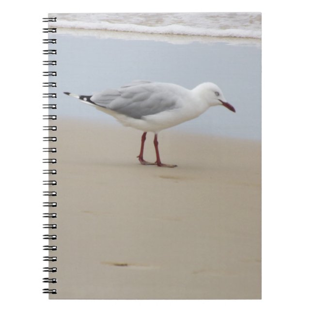 Seagull am Meer Notizblock (Vorderseite)