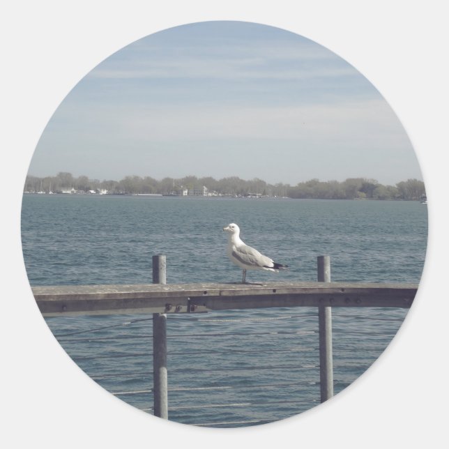 Seagull am See Runder Aufkleber (Vorderseite)