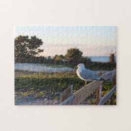 Seagull am Strand