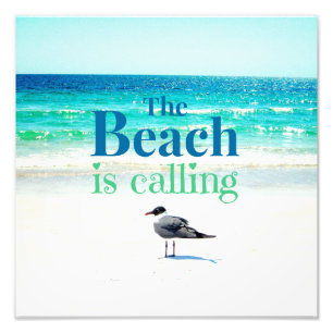 Seagull am Strand Fotodruck