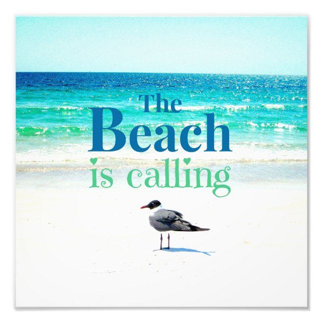 Seagull am Strand Fotodruck (Vorne)