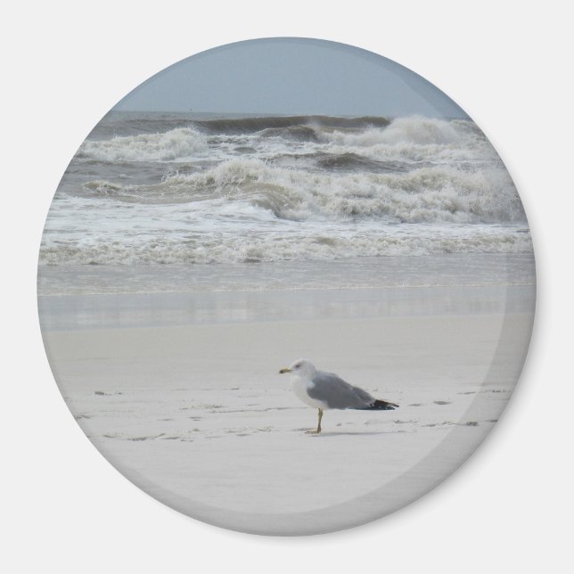 Seagull am Strand Magnet (Vorne)