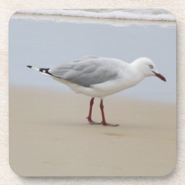 Seagull am Strand Untersetzer (Vorderseite)