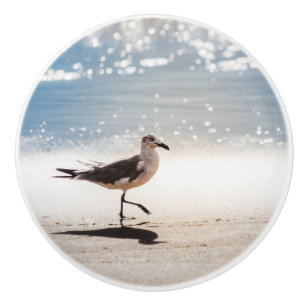 Seagull am Strand von Virginia Keramikknauf