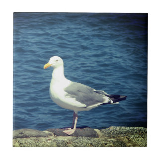 Seagull an der Bucht Fliese