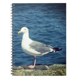 Seagull an der Bucht Notizblock
