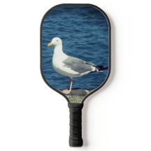Seagull an der Bucht