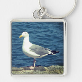 Seagull an der Bucht Schlüsselanhänger