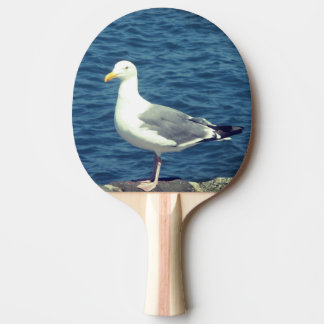 Seagull an der Bucht Tischtennis Schläger