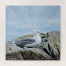 Seagull an der Küste