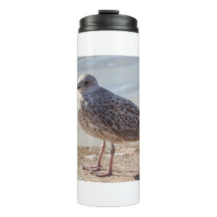Seagull an der Wand Thermosbecher
