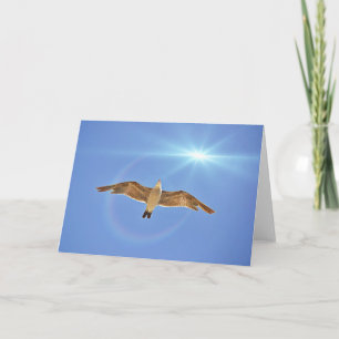 Seagull and Sun Scripture Card John 8:36 Karte