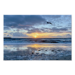 Seagull at Sunset - Venice Beach, CA Fotodruck