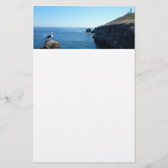 Seagull auf der Insel Anacapa auf den Kanalinseln Briefpapier (Vorderseite)