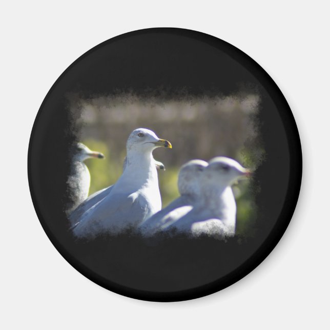 Seagull auf der Schiene Magnet (Vorne)