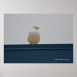 Seagull auf einem blauen Dach II Poster