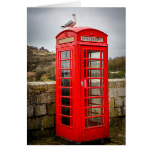 Seagull auf Telefonbox