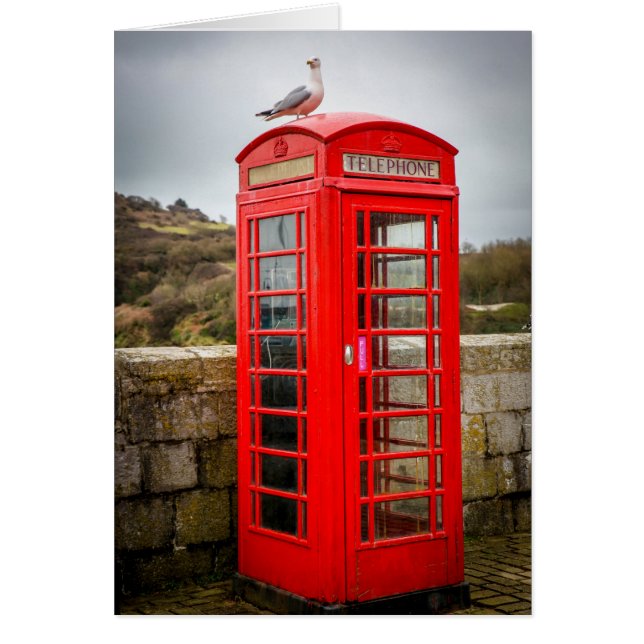 Seagull auf Telefonbox (Vorne)