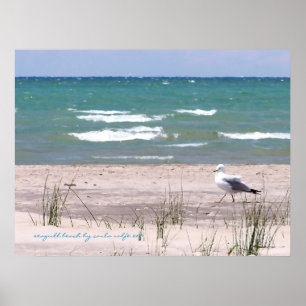 Seagull Beach Aquarell Print Poster