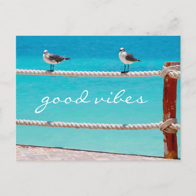 Seagull Beach Vögel Foto Good vibes Zitat Postkarte (Vorderseite)