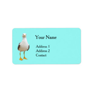Seagull Bird auf Türkis Adressaufkleber