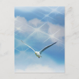 Seagull-Bird im Foto Postkarte