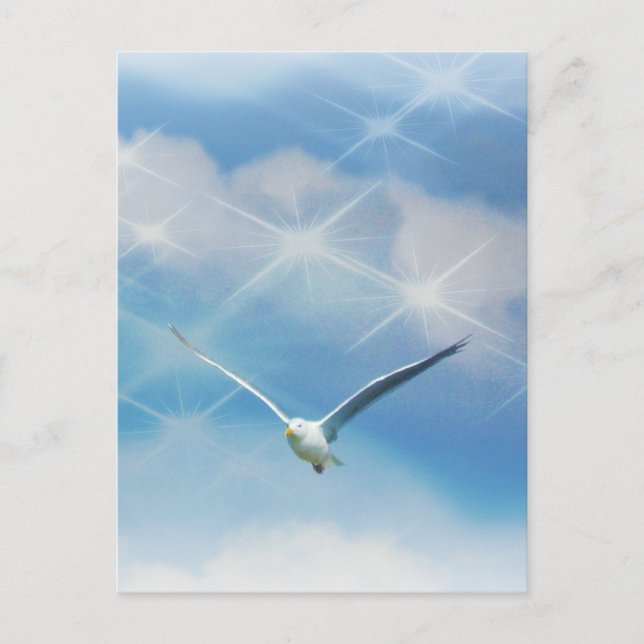 Seagull-Bird im Foto Postkarte (Vorderseite)