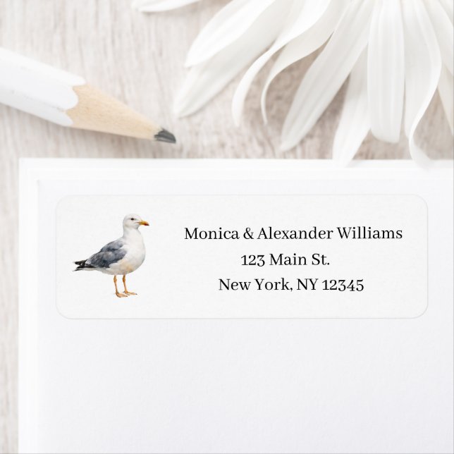 Seagull Bird Ocean Coast Beach Return Address (Insitu)
