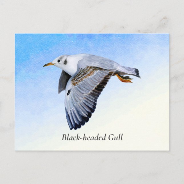 Seagull Bird Wasserfarbenmalerei Postkarte (Vorderseite)