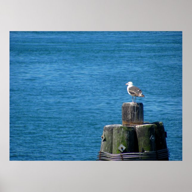 Seagull Blick auf den Ozean Poster (Vorne)