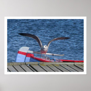 Seagull, Boat and Dock Print Poster