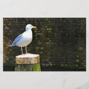 Seagull Briefpapier