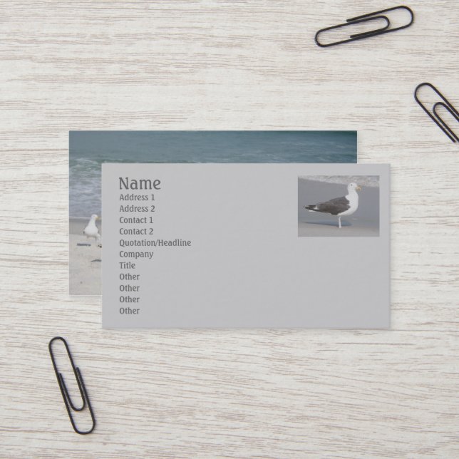 Seagull Business Card Visitenkarte (Vorderseite/Rückseite Beispiel)