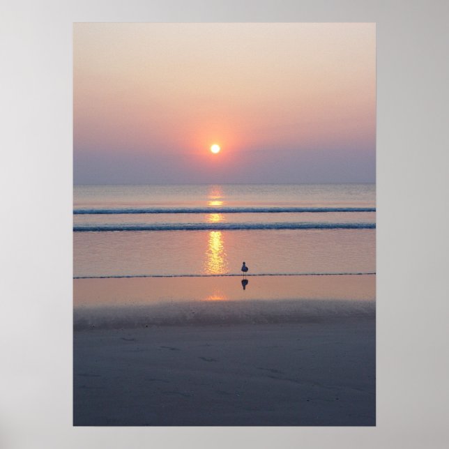 Seagull Daytona Beach FL Ocean Sunrise Poster (Vorne)