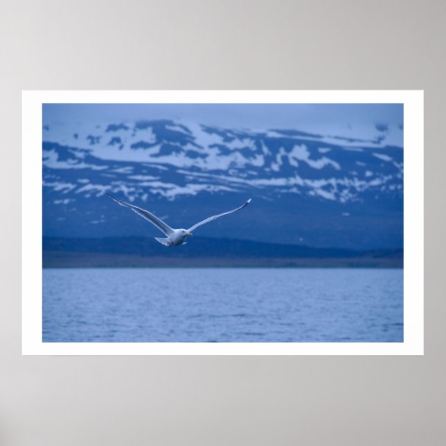 Seagull der norwegische Flug zu Freiheit Poster (Vorne)