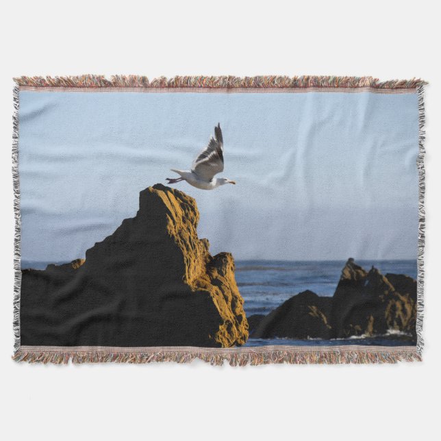 Seagull-Devices Decke (Vorderseite)