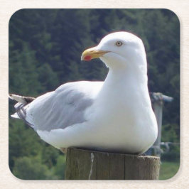 Seagull, die sich auf den Untersetzer der Zaun-Pos