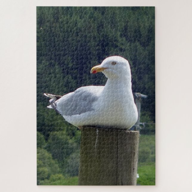 Seagull-Down (Vertikal)
