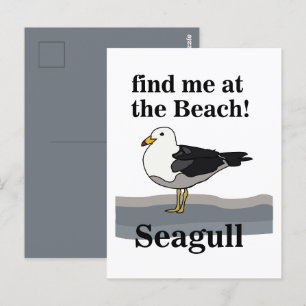 Seagull findet mich am Strand Funny Bird Postkarte