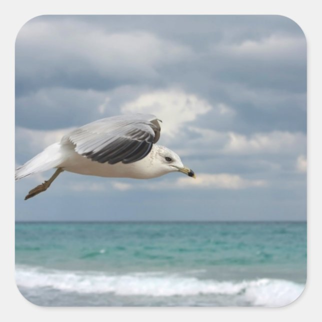Seagull-Flug Quadratischer Aufkleber (Vorderseite)
