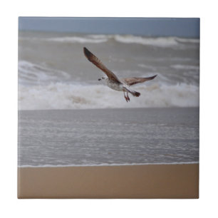 Seagull Flug über Strand in Richtung Ozean Fliese