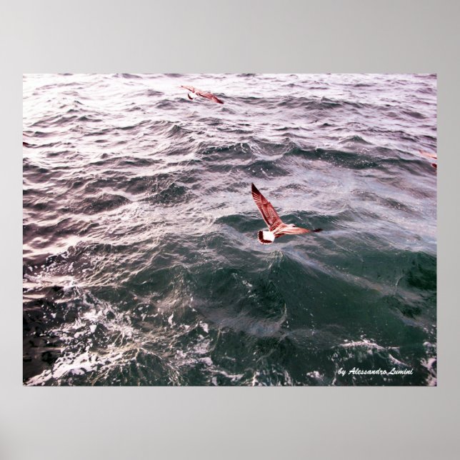 SEAGULL FLYING ÜBER DIE WELLEN POSTER (Vorne)