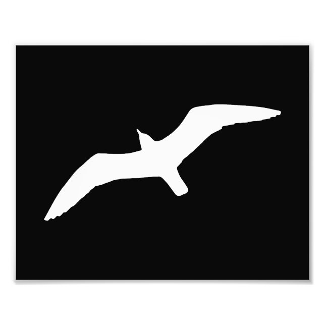 Seagull-Form Fotodruck (Vorne)