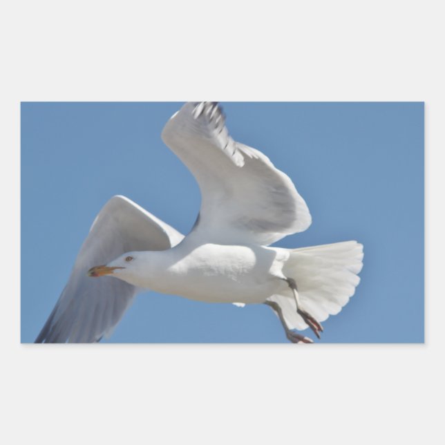 Seagull-Foto Rechteckiger Aufkleber (Vorderseite)