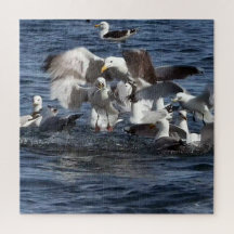 Seagull Fütternd Frenzy Acrylic Jigsaw Puzzle