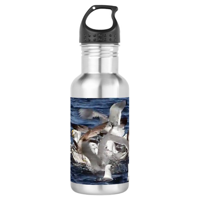 Seagull Fütternd Frenzy Edelstahlflasche (Vorderseite)