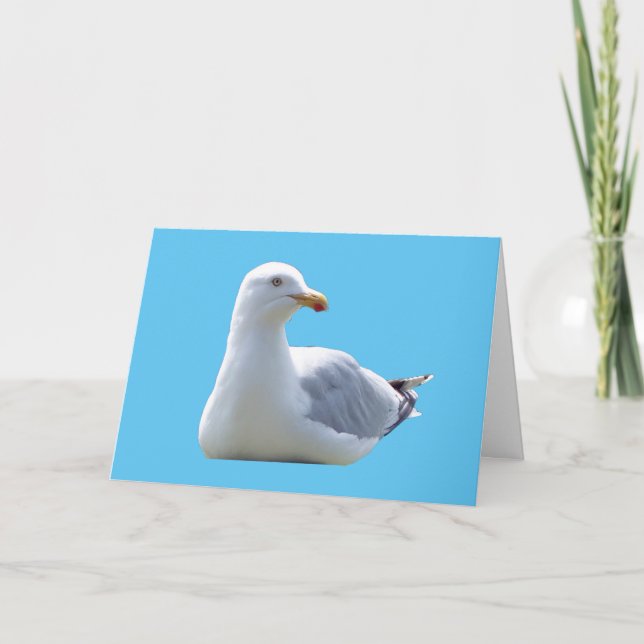 Seagull-Grüße Textkarte hinzufügen Karte (Vorderseite)