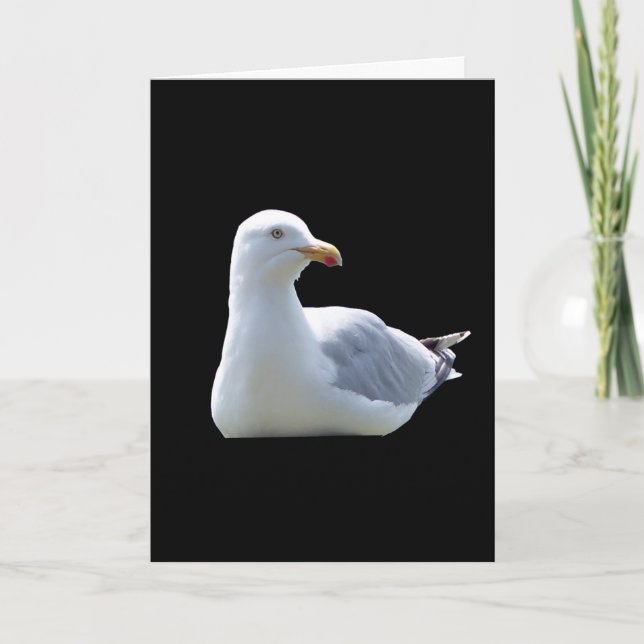 Seagull-Grüße Textkarte hinzufügen Karte (Vorderseite)